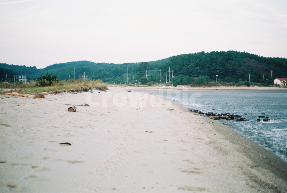 서천,모래사장,바다,해안가,산,필름카메라사진,sea,coast,sky,하늘,sand