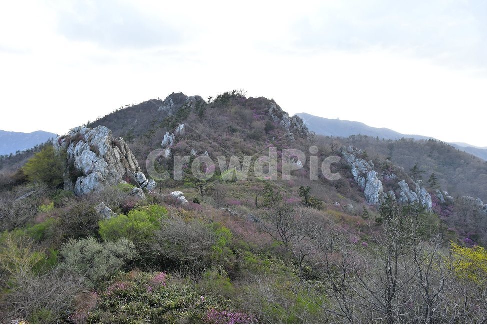 주작산,덕룡산,종주,진달래,풍경,기암,바위,비경,봄풍경,진달래꽃,강진,명산,산행,등산,마운틴,힐링,mountain,landscape,자연,natural,자연,풍경,nature,landscape,한국자연풍경,한국자연경관,korea nature landscape,slope,경사,outdoors,옥외