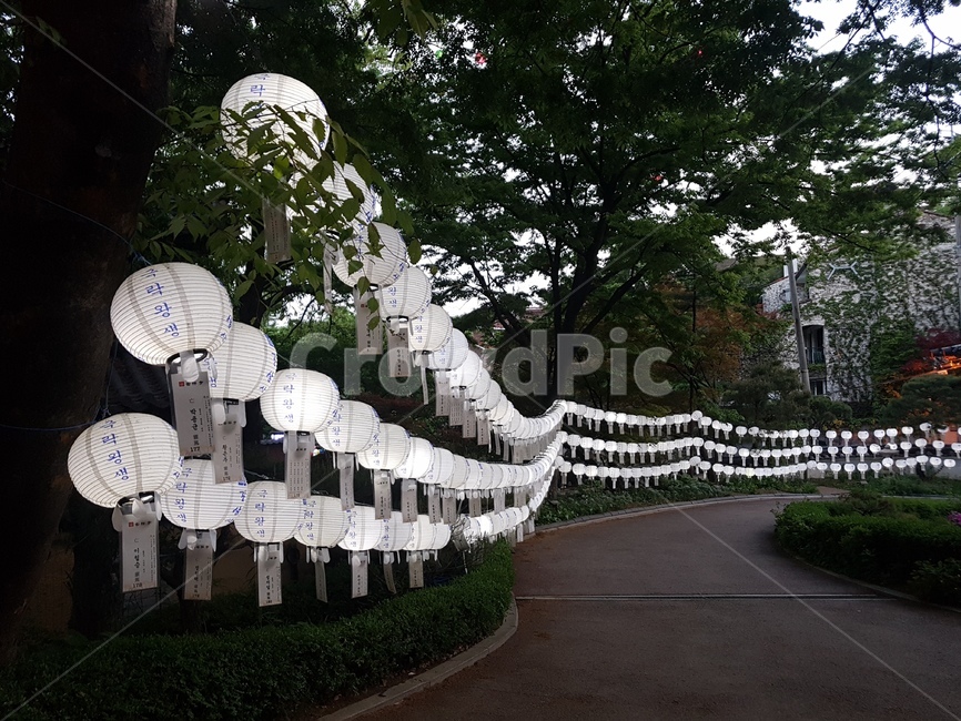 연등,초파일,석가탄신일,길상사,절,사찰,lotuslantern
