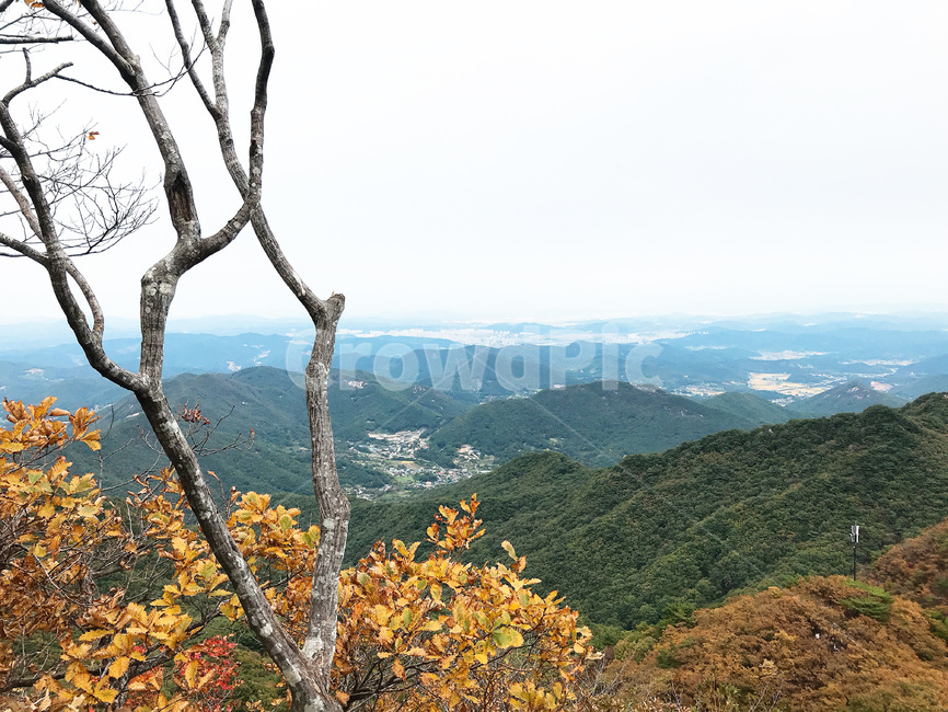등산,자연,나무,산,단풍,가을,구름,능선,풍경,경관,경치,맑은날,날씨,초록,봄,하늘,배경화면,가을,계절,fall,autumn,season,자연,풍경,nature,landscape,tree,plant,식물,outdoors,옥외