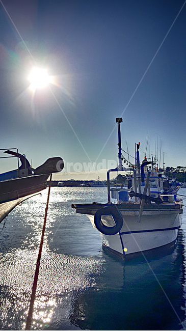 어선,선박,항구,위미항,배,보트,port,교통,어업,fishery,fishing industry