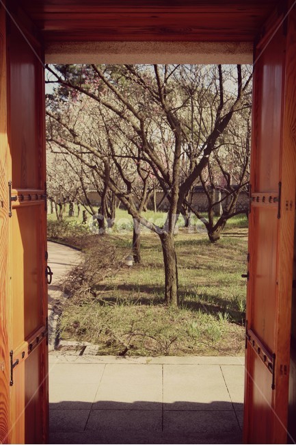 문,나무,풍경,자연,정원,한국전통,한국문화,korean traditional,korean culture,식물,자연,plants,nature,나무,trees,wood