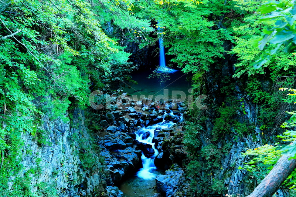 한탄강,용암,강,주상절리,폭포,비둘기낭폭포,자연,풍경,nature,landscape,한국자연풍경,한국자연경관,korea nature landscape,water,물,outdoors,옥외,creek,작은 만,stream,흐름