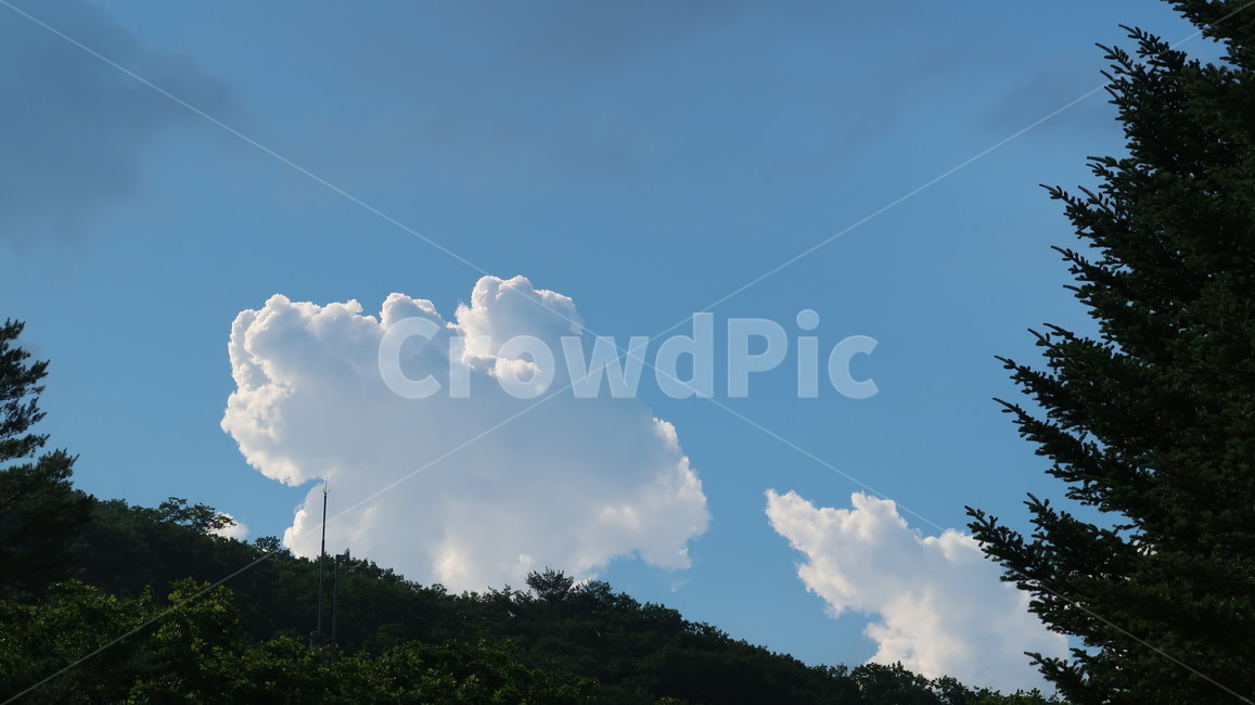 nature,자연,outdoors,옥외,구름,cloud,날씨,weather,cumulus,sky,하늘,맑은날,맑음,sunny,blue,파란색,파랑,계절,자연,풍경,nature,landscape