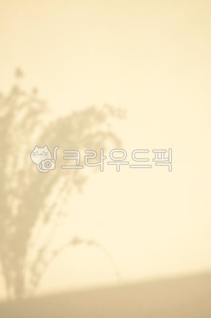 grunge,shadow,shape,reflection,retro,blur,abstract,leaf,archaic,background,vintage,copy space,plant,gap,silhouette,sight,antique,decoration