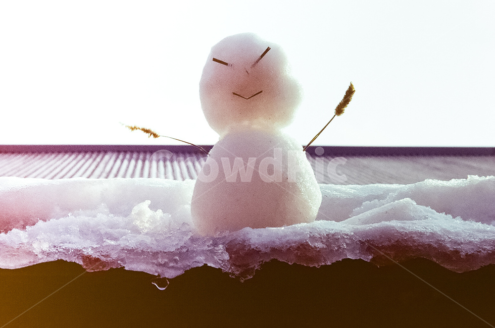 winter,겨울,snow,snowman,눈사람,눈,nature,자연,겨울,계절,winter,season
