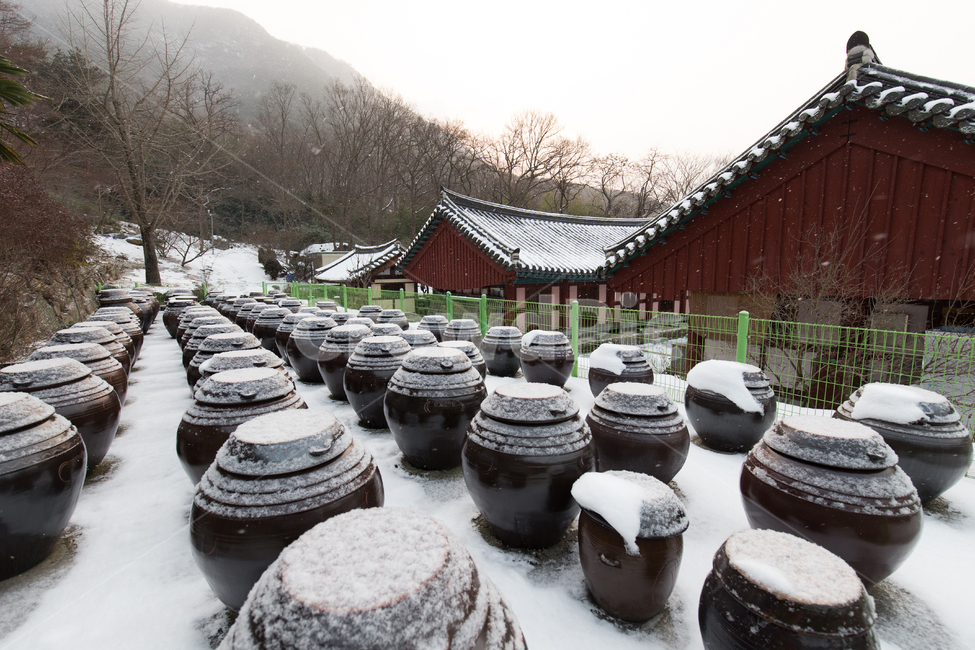 항아리,겨울,장독대,눈,설경,전통,레트로,빈티지,winter,jar,snow