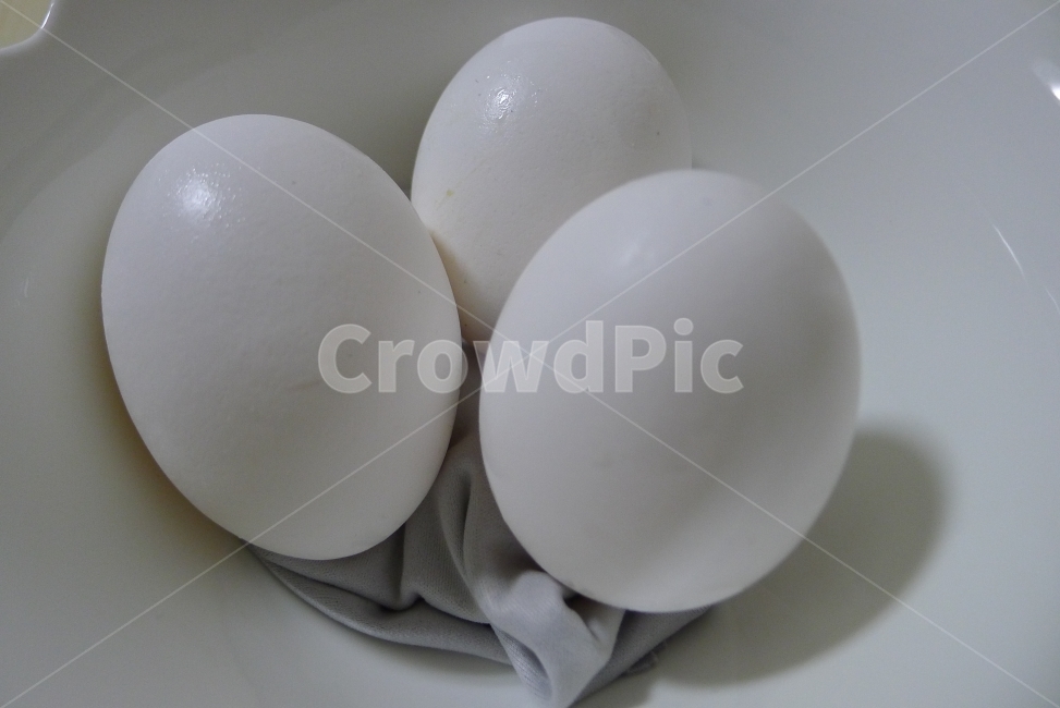 계란,달걀,하얀달걀,알,egg,eggs,하얀계란,음식,식재료,요리,food,cook,meal,dishes,food reserves