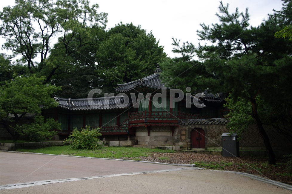 창덕궁,고궁,전각,한옥,전통가옥,기와지붕,건축,traditional,한국전통,한국문화,korean traditional,korean culture,랜드마크,landmark,tourist attraction,한국랜드마크,한국관광지,한국명소,korea landmark,korea tourist attraction,건축물,건물외관,exterior,building,structure,architecture,construction