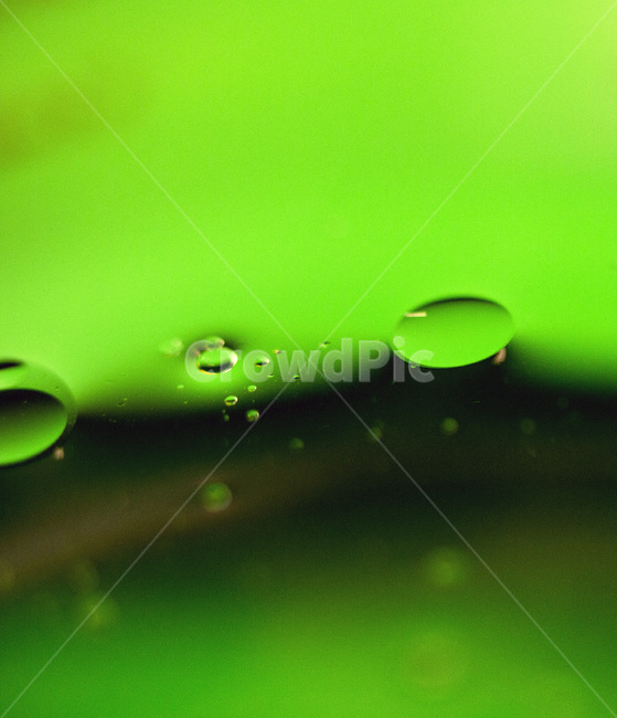 물방울,작은물방울,일러스트,이슬,waterdrop,droplet,illustration,dew,담요,모포,연두색,blanket,abstraction,yellowgreen,chartreuse,추상,라이트그린,반짝임,비구상,세로사진,원형,순수,물,봄,원,빛,배경,순결,수분,기포,요,동그라미,투명,바탕,부드러움,표지,액체,연초록,곡면,블러,환상,방울,연녹색,곡선,미동,평온,고상,기품,우아,고요,순도,청결,단순,완만,조용,커버,웨이브,초원,소프트,따뜻함,평화