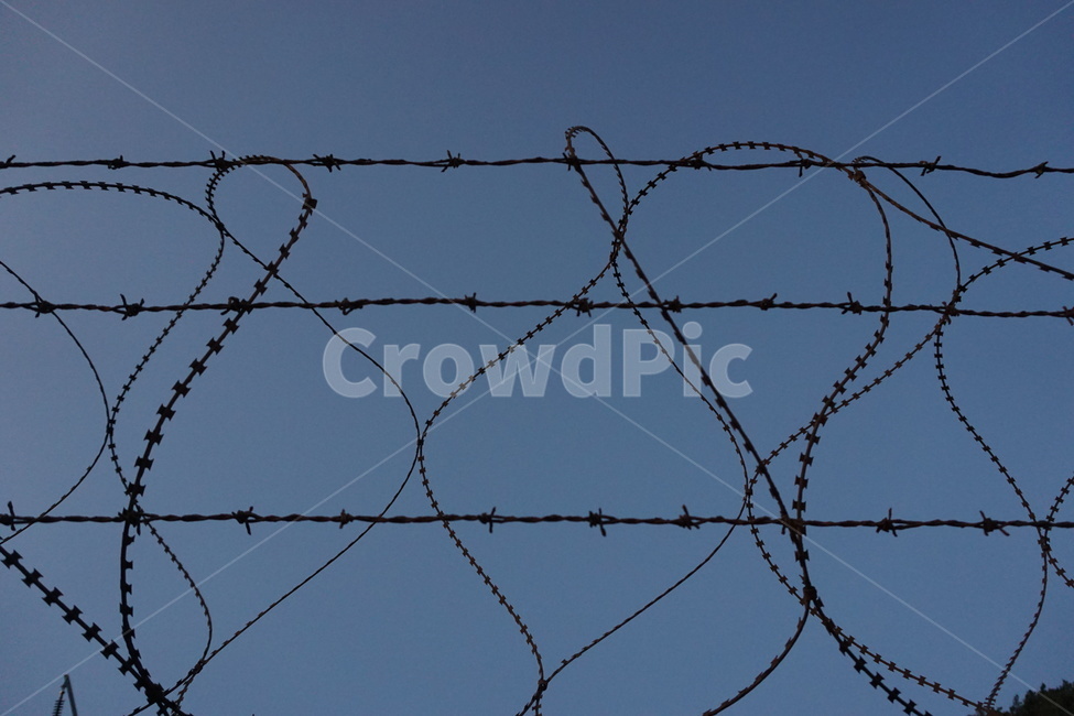 barbedwirefence,철조망,철사,하늘,철망,파란하늘,bluesky,wirenetting,wireentanglement,wire,sky,가시철사,barbedwire,철조망울타리,wirefence