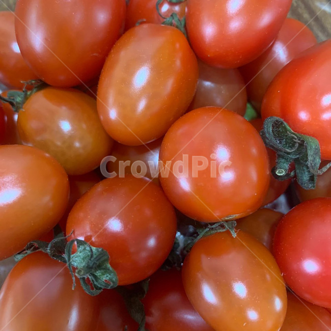 plant,식물,야채,채소,토마토,방울토마토,빨간색,붉은,샤인마토,단마토,붉은빛,붉은색,빨간빛,빨간