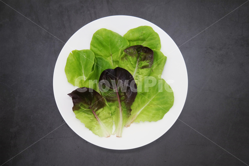 채식,채식주의자,야채,채소,식물,건강,샐러드,채소,야채,vegetables