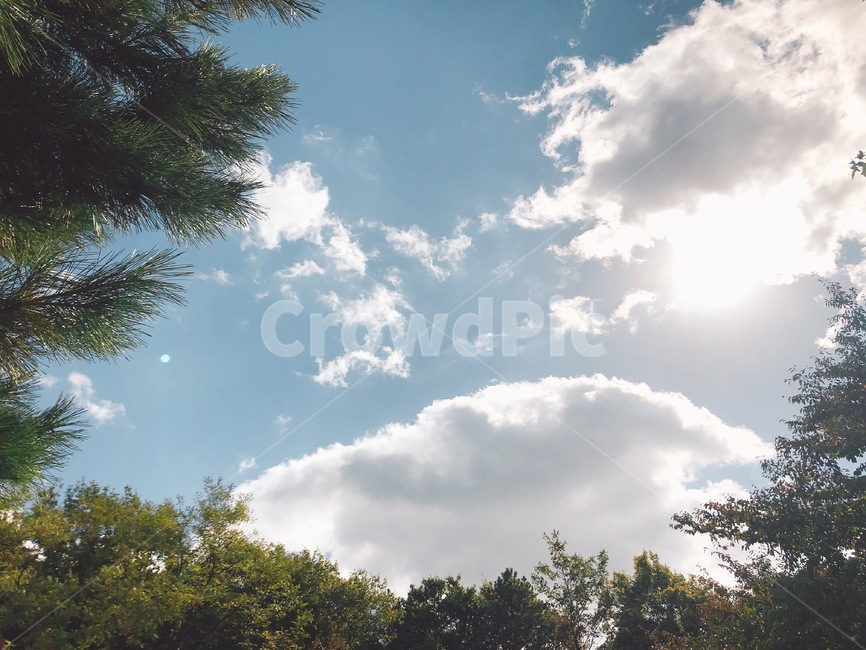 하늘,맑은날씨,가을,구름,나무,우리동네,sky,sunnyday