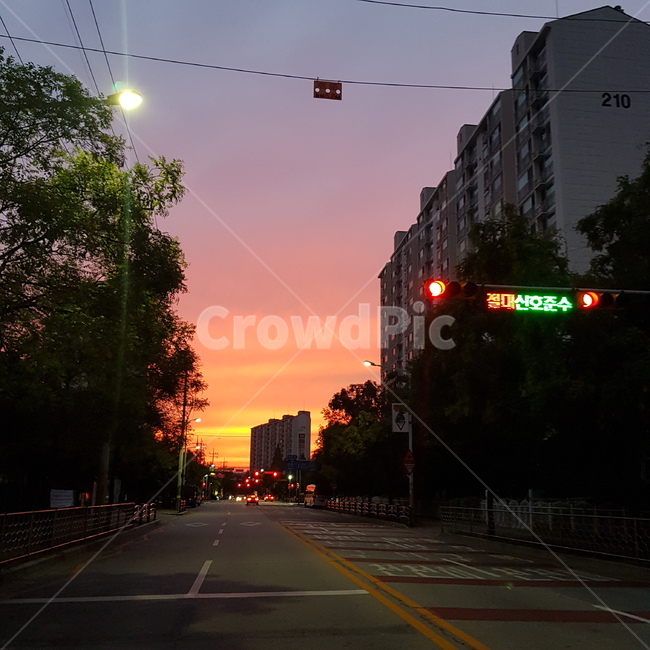 저녁,도로,road,asphalt,감성,노을,분위기,하늘