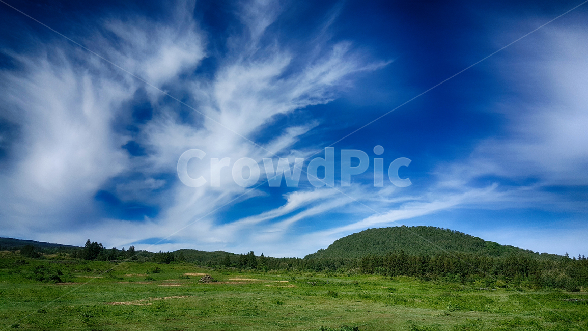 nature,outdoors,옥외,field,들,grassland,목초지,자연,자연,풍경,nature,landscape