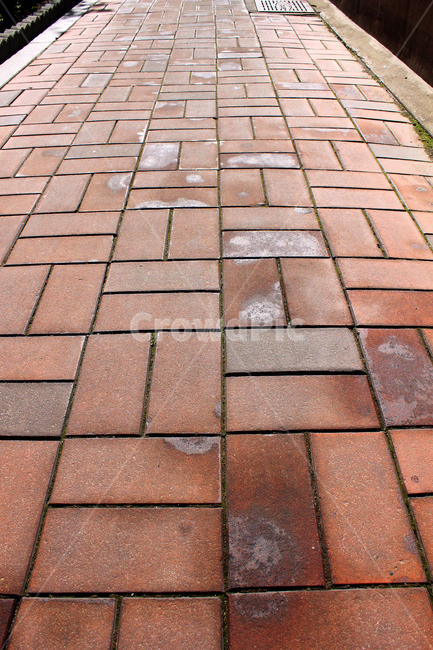 pattern,Red,red,sidewalk block,Perspective,road,road name,block,brick,floor