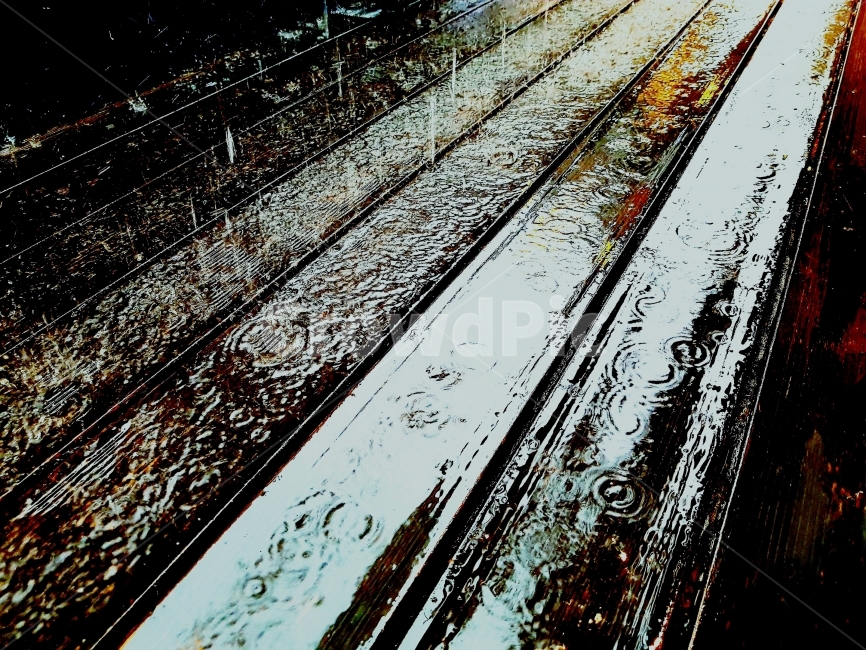 우울,비,바닥,나무,빗방울,소리,날씨,흐림,오후,자연,색감,일상gloom,rain,floor,wood,raindrop,sound,weather,cloudy,afternoon,nature,color,daily,비,비오는날,rain,rainy