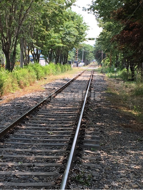 철도,철길,기차,기찻길,railway,railroad,train