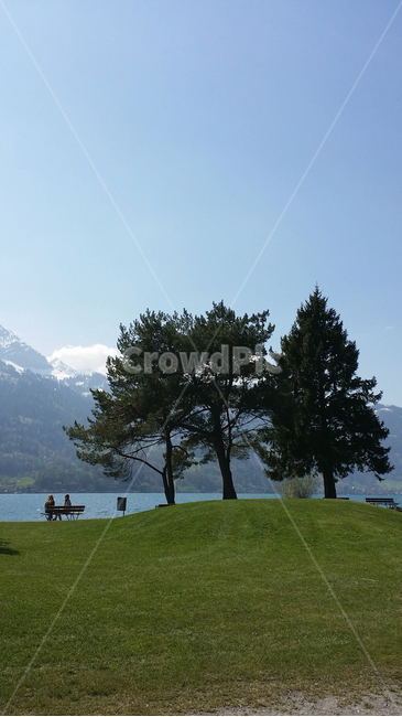스위스,switzerland,산,맑은,초원,잔디,풀,하늘,나무,강,강가,호수