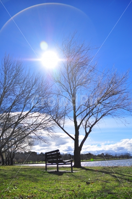 호주,캔버라,호수,벤치,태양,해,나무,잔디,하늘,구름,겨울,가을,햇빛,australia,canberra,lake,bench,sun,sunny,sunlight,trees,grass,sky,clouds,휴식,힐링,rest,relaxation,healing,해외,외국,세계,foreign,oversea,world