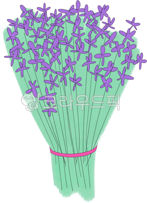 flower,bouquet,flower illustration,flower drawing,lavender,lavender,flower,fleur,fleurdessin,flowerdessin,purple,green