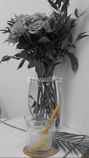 plant,식물,vase,병장식,레몬차