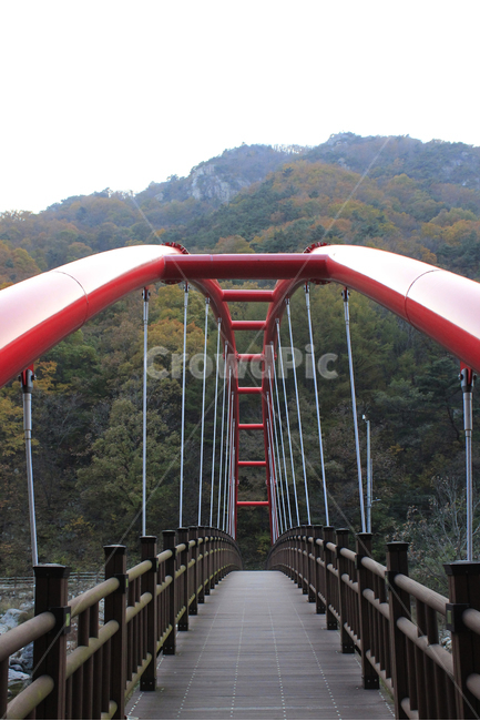 등산로,다리,등산,빨간색,산,산맥,장용산,자연,휴양림