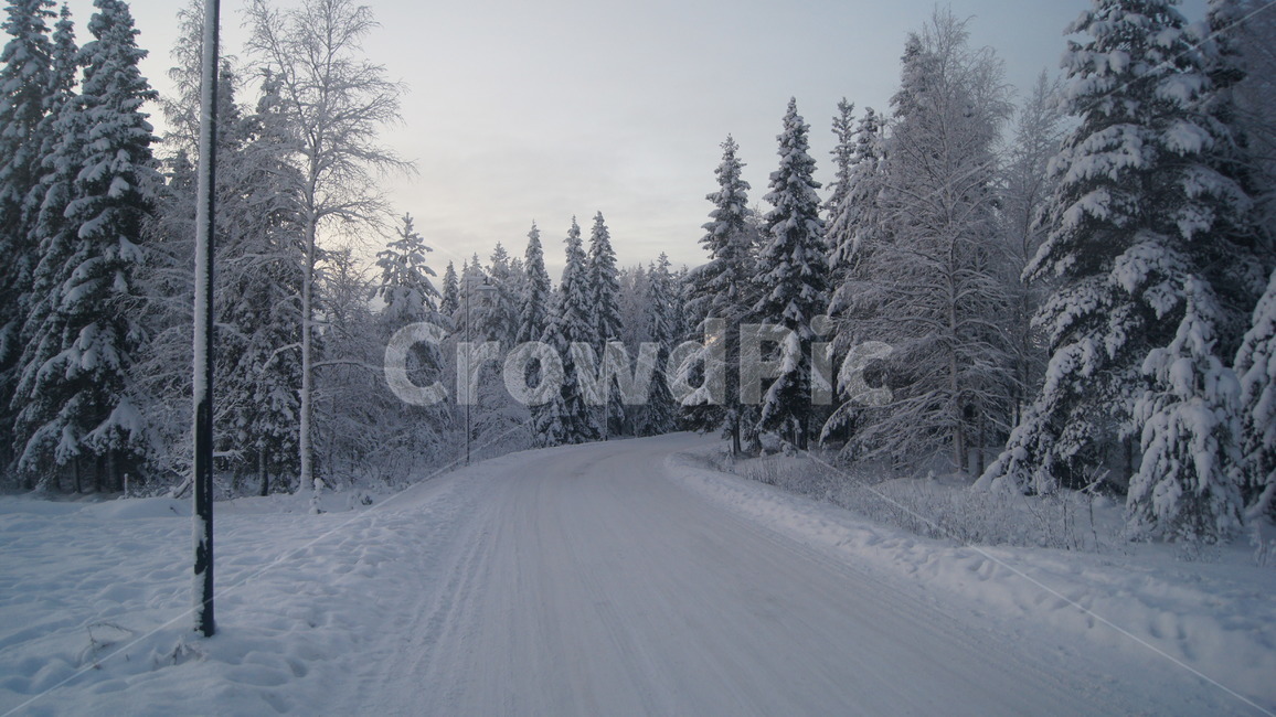 핀란드,로바니에미,산타마을,산타,산타파크,툰드라,겨울,계절,winter,season,자연,풍경,nature,landscape,plant,식물,tree,나무,fir,전나무,outdoors,옥외