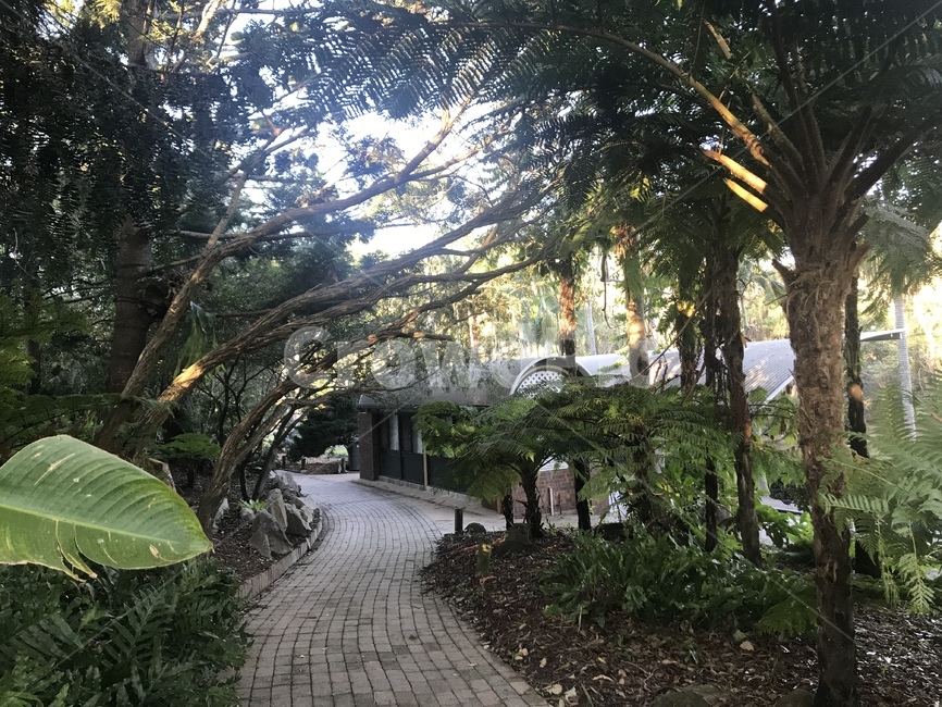 정자,outdoors,옥외,식물,나무,자연,풍경,garden,정원