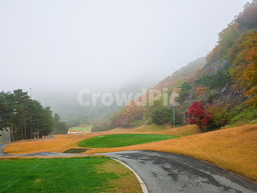 가을,골프장,단풍,안개,노랑,가을,계절,fall,autumn,season,asphalt,아스팔트,road,도로