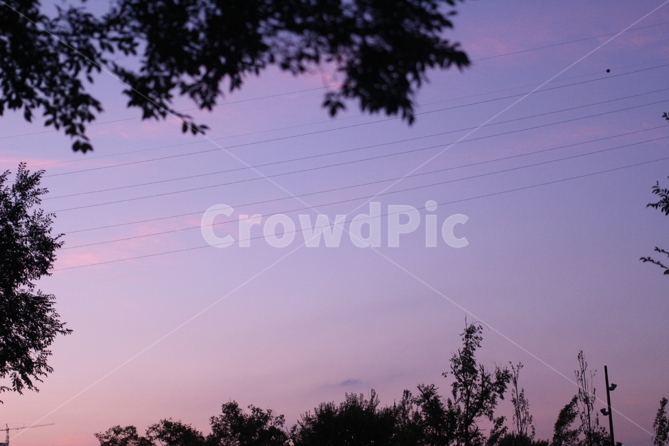 파스텔,일몰,하늘,프레임,전선,자연,풍경,nature,landscape,색깔,색상,색채,색감,color sense,color sensitivity,feeling of color,cable,케이블,power lines,전력선,electric transmission tower,송전탑