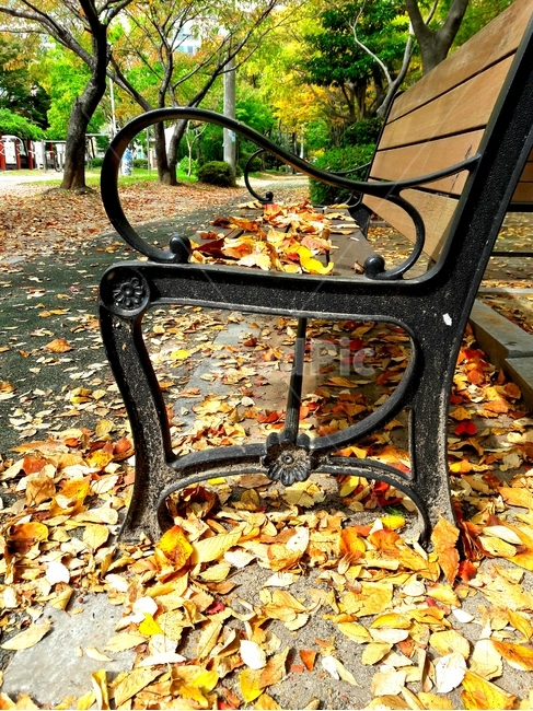 가을,fall,낙엽,의자,ground,바닥,가구,furniture