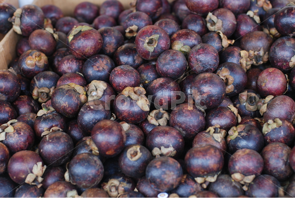 과일,열대과일,망고스틴,fruit,mangosteen,healthyfood,tropicalfruit,food,음식,과일,열매,fruit