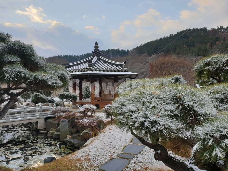 nature,자연,정자,겨울,연못,눈,기와,정원,연잎,아침,소나무