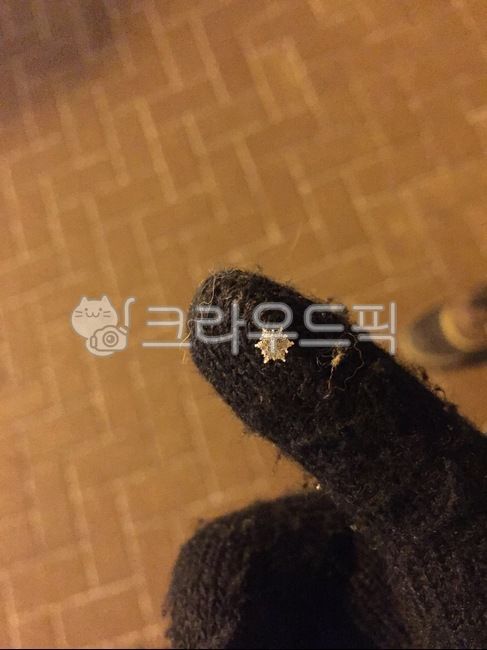 겨울,장갑,손가락,눈,눈모양,결정체,눈결정,육각형,winter,glove,finger,snow,snowflake