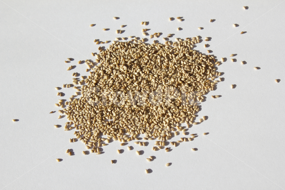 brown,closeup,dry,dummy,food,gold,grain,macro,meal,natural,nature,organic,plant,seed,seeds,sesame,sesameseed,sesameseeds,top,topangle,topview,yellow,깨,참깨,곡식,곡류,음식,음식재료,식재료,식물,씨앗,씨,갈색,브라운,말린,말리는,건조,자연,클로즈업,탑앵글,탑뷰,깨소금,농작물,농촌,농사,흰배경,곡류,곡식,cereals