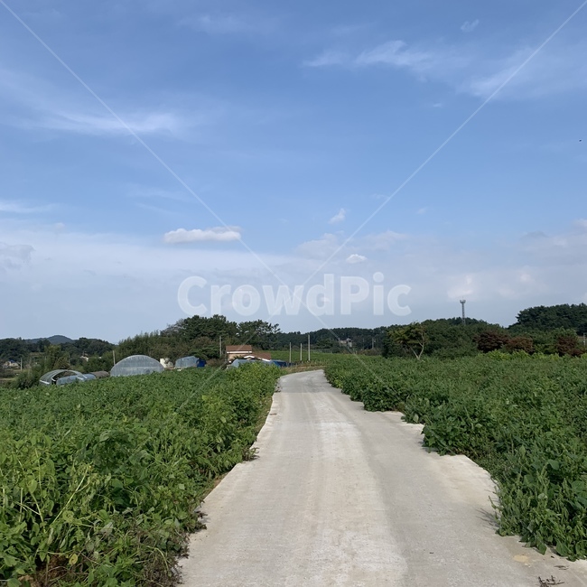road,도로,nature,자연,outdoors,풀,잔디,하늘,구름,길,시골,날씨