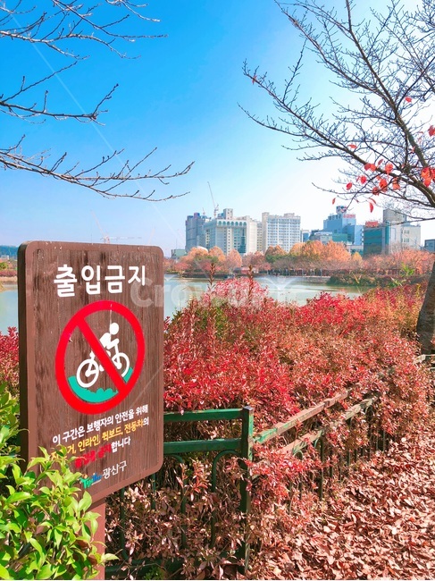가을,호수,낙엽,하늘,공원,단풍,가을,계절,fall,autumn,season