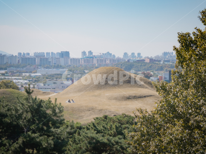 야외,풍경,자연,공원,가을,grassland,field,outdoors,자연,풍경,nature,landscape