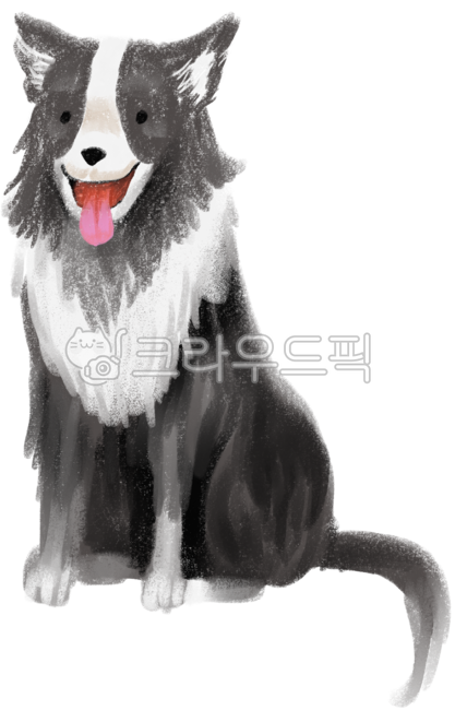 동물,보더콜리,강아지,개,강아지의날,반려견,귀여운,작은동물,콜리,장난감,동물가족
