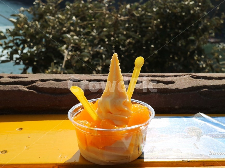제주도,망고,아이스크림,야외카페,노란색,배경화면,감귤,jeju,icecream,mango,yellow,background,food,음식,디저트,음식,식재료,요리,food,cook,meal,dishes,food reserves,디저트,간식,후식,dessert,snack