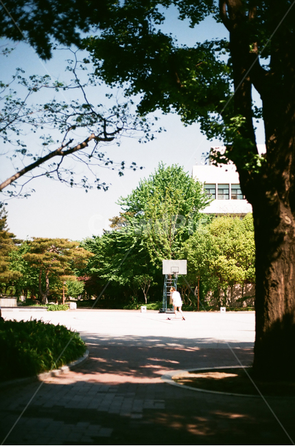 tree,나무줄기,나무,human,plant,식물,treetrunk,person,인간