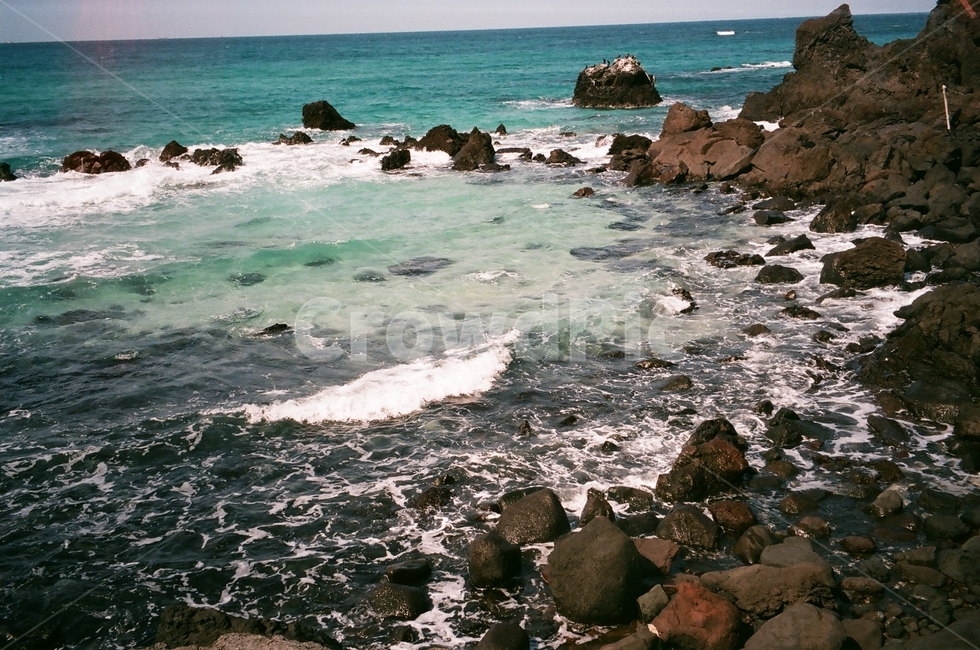 제주도,필름카메라,바다,파도,수평선,자연,풍경,nature,landscape,한국자연풍경,한국자연경관,korea nature landscape,제주도,jeju,jeju island,promontory,곶