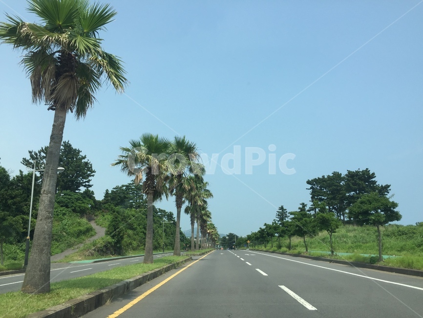 드라이브,하늘,풍경,여름,이국적,도로,summer,beach,제주도,jeju,힐링,landscape
