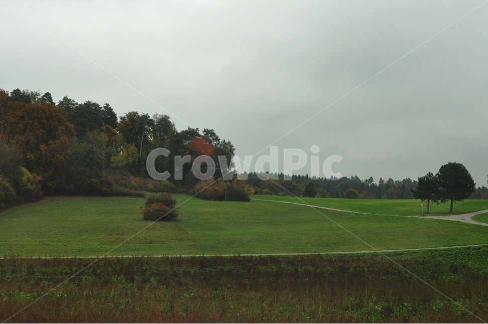 스위스,여행,풍경,녹색,자연,swiss,treval,시골,마을,풍경,landscape,country,rural,town,해외,외국,세계,foreign,oversea,world
