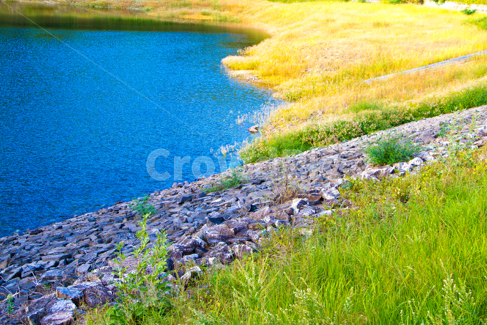 저수지,물,돌,풀,자연,자연,풍경,nature,landscape