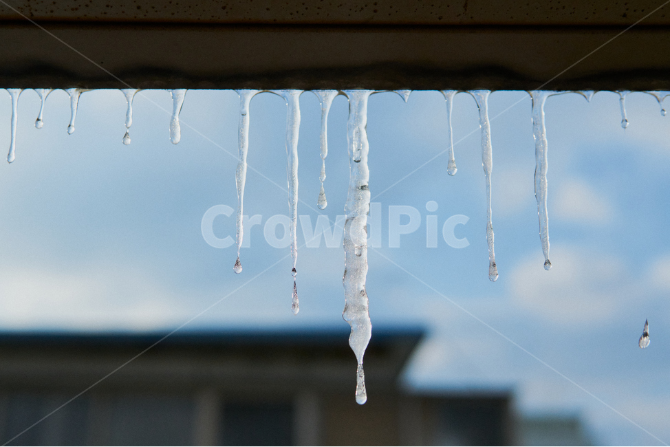 고드름,겨울,입춘,꽃샘추위,얼음,cold,감성,nature,자연,winter,건물,건축,도시,도심,building,city,겨울,계절,winter,season