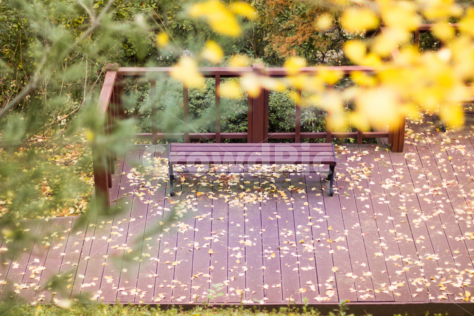 벤치,가을,풍경,낙엽,외로움,쓸쓸함,감성,가을,계절,fall,autumn,season,자연,풍경,nature,landscape,bench,park bench,공원 벤치,furniture,가구