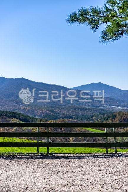 대관령,대관령양떼목장,양떼목장,풀밭,목초지,목장,초원,자연,배경,풍경,한국자연풍경,언덕,길,산책